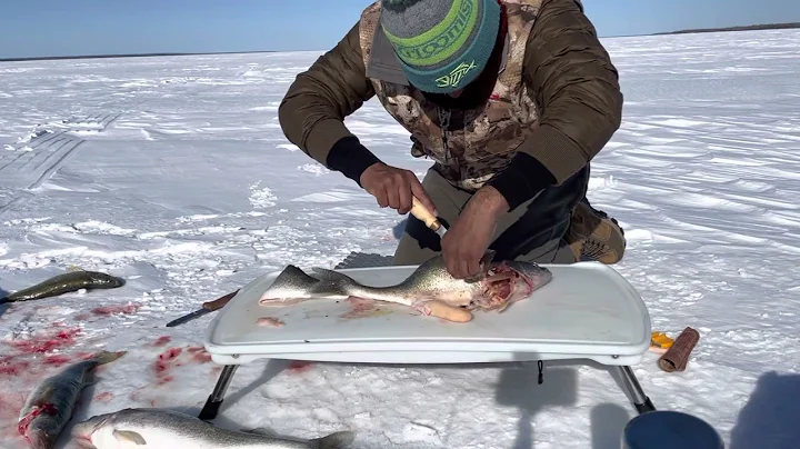 Walleye Fillet on Ice