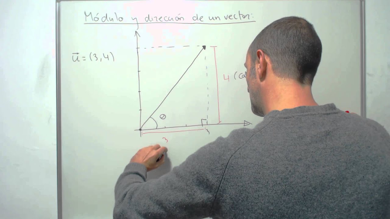 3  Módulo y dirección de un vector