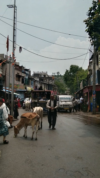 way to shree ekling ji, Kailashpuri Udaipur #O Re Piya #youtubeshorts #shorts #viral #trending #song