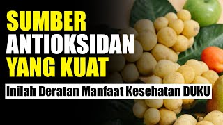 Sumber Antioksidan yang Kuat | Inilah 10 Manfaat Kesehatan Teratas dari Buah Duku