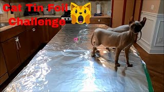 Cat Tin Foil Challenge by Loki and Armani Time 27,005 views 3 years ago 3 minutes, 42 seconds