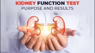 تحليل وظائف الكلى Renal function test : RFT