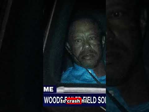 Tiger Woods DUI Arrest &amp; Crash: New Details Revealed