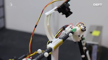 Daze 1.0 - Shape Memory Alloy Robot