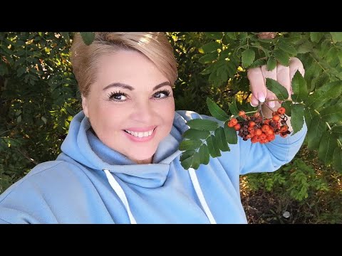 РАЗГОВОРЫ под РЯБИНОЙ 🌝😘