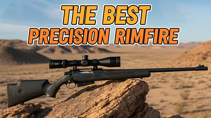 10 Best Precision Rimfire Rifles of 2025