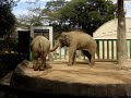 隣りのエリアに帰れないズゼさん 2017.10.1 その2