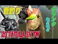 20タトゥーラSVTW × クランクなどなど in.千葉県 釣りパラダイス