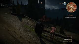 The Witcher 3 - i was actually whistling to her..