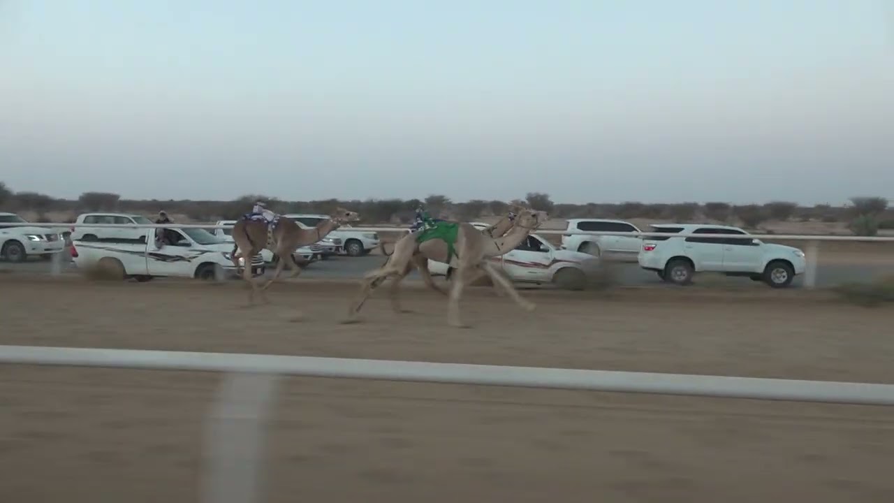 ش2 قعدان مفاريد 1447/09/10هـ - 2026/02/27م (مبهر) بدر عليان محفوظ القويعاني