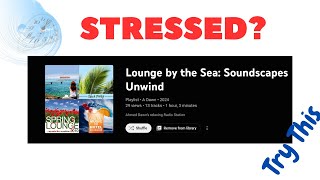 De-Stress Instantly! The Chill Out Radio Station You NEED Right Now!