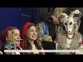 🔴 Моцныя маразы ў Беларусі: ёсць ахвяры. Раскрыта сакрэтная схема беларускіх памежнікаў: што вядома?