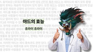 Ep. 57. 화요일 화요일엔 야드 #와우 #내부전쟁 #러블리쇤네 / 월드오브워크래프트 야드 쐐기