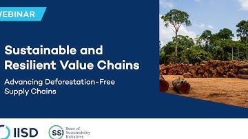 Sustainable and Resilient Value Chains: Advancing deforestation-free supply chains