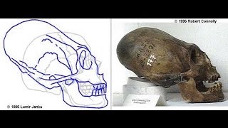 Странные черепа в древних курганах Сибири