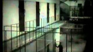 Hayır Diyenlere Evet İçin Kanıt // Cyber-Warrior TIM
