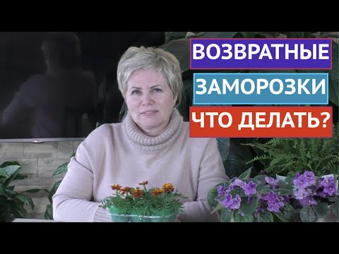 Видео: КАРАУЛ! ВОЗВРАТНЫЕ ЗАМОРОЗКИ! КАК СПАСТИ РАСТЕНИЯ