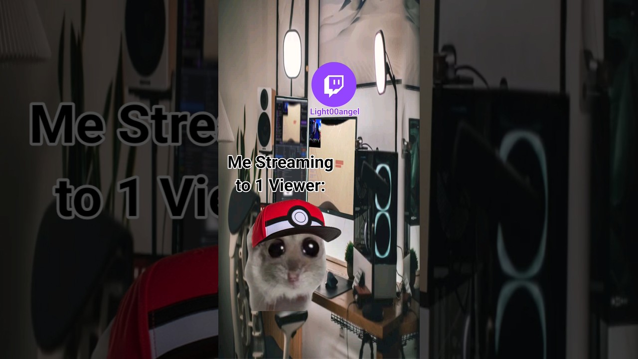 Small Streamer Struggles Be Like... 
