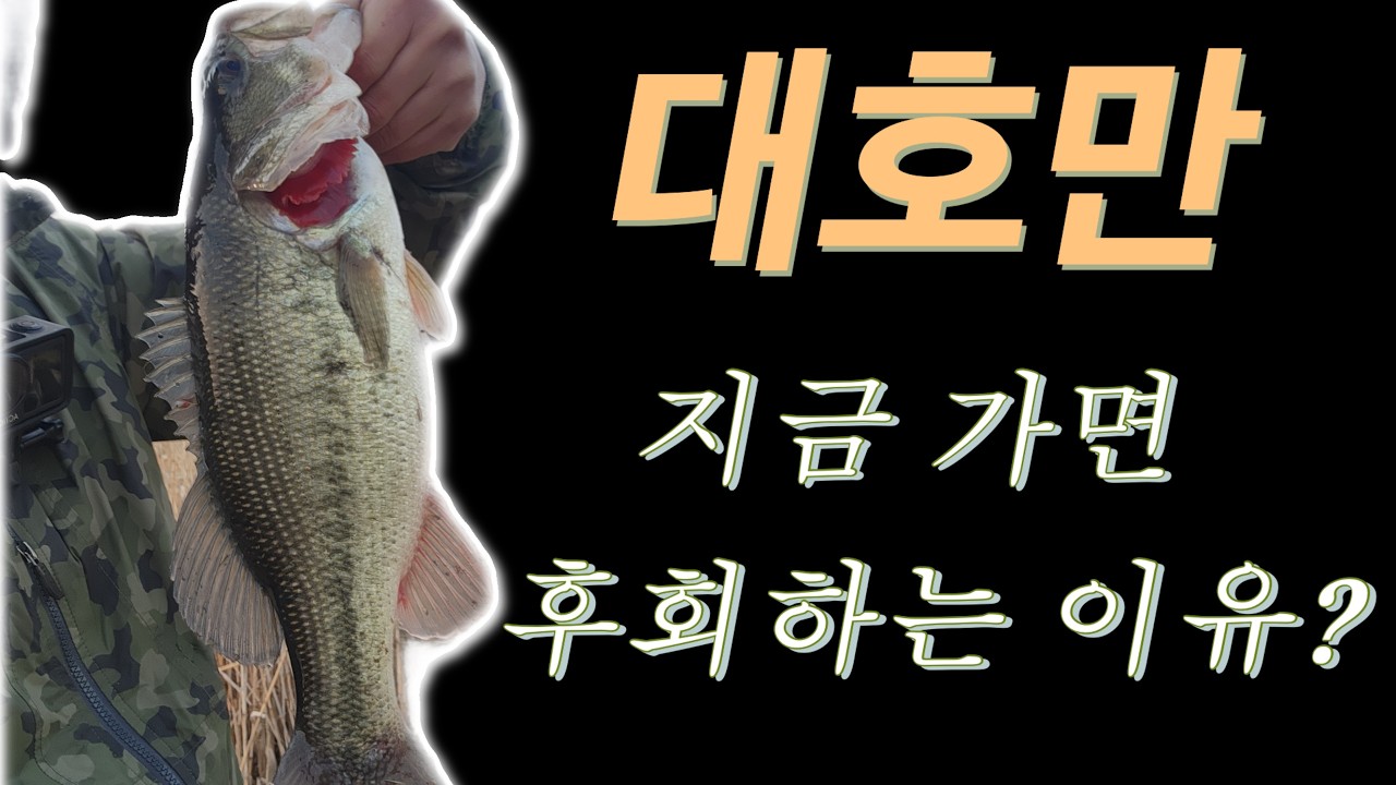 #대호만#배스#힘들다#아직은봄이#bassfishing