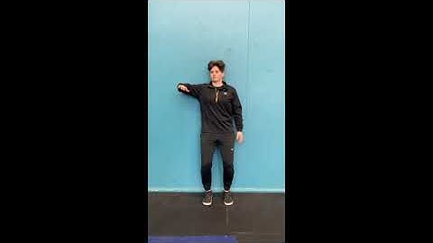 Shoulder internal and external rotation back against wall single arm - video prompt