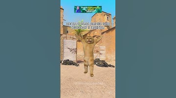 Показал скилуху #cs2 #cs2funny #cs2clips #cs2moments #cs2memes #кс2 #кс2мемы #кс2приколы #knifex #cs