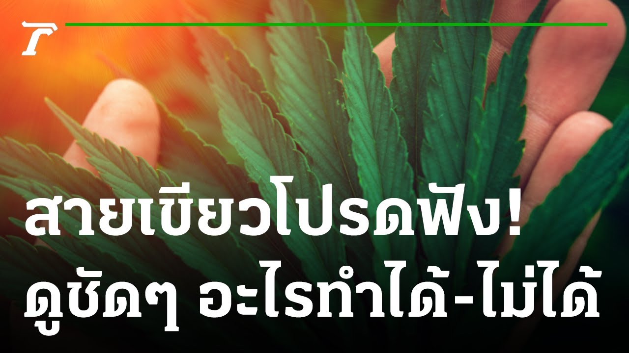 ปลดล็อกกัญชาวันแรก ดูชัดๆ อะไรทำได้-ไม่ได้ | 09-06-65 | ไทยรัฐนิวส์โชว์ | เนื้อหาทั้งหมดเกี่ยวกับขอ อนุญาต นํา เข้า อาหารที่สมบูรณ์ที่สุด