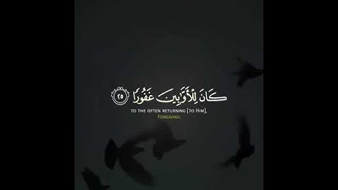 القارئ الجديد ممدوح عماد| وقل رب ارحمهما كما ربياني صغيرا