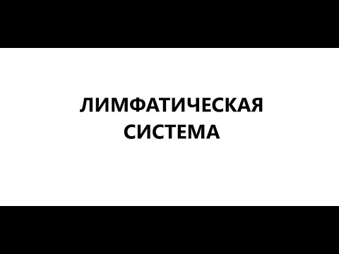 Строение и функции лимфатической системы