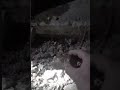 العثور على سحر مدفون تحت العتبة منذ سنين وابطاله بإذن الله مع الراقي عمر او ريحانة