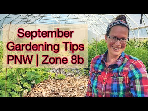 Vidéo: Northwest Gardening Tasks – Pacific Northwest Gardens en décembre