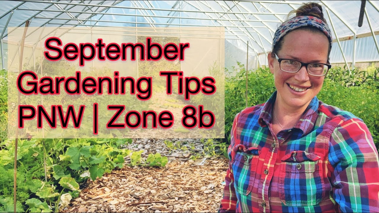 September Gardening Tips Pnw Zone 8b