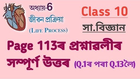 Class10:Science/Chapter6/Life Process/জীৱন প্ৰক্ৰিয়া/Quetions-Ans/Page 113