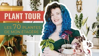 🪴 Plant Tour et présentation de mon étagère avec plus de 70 plantes 😱