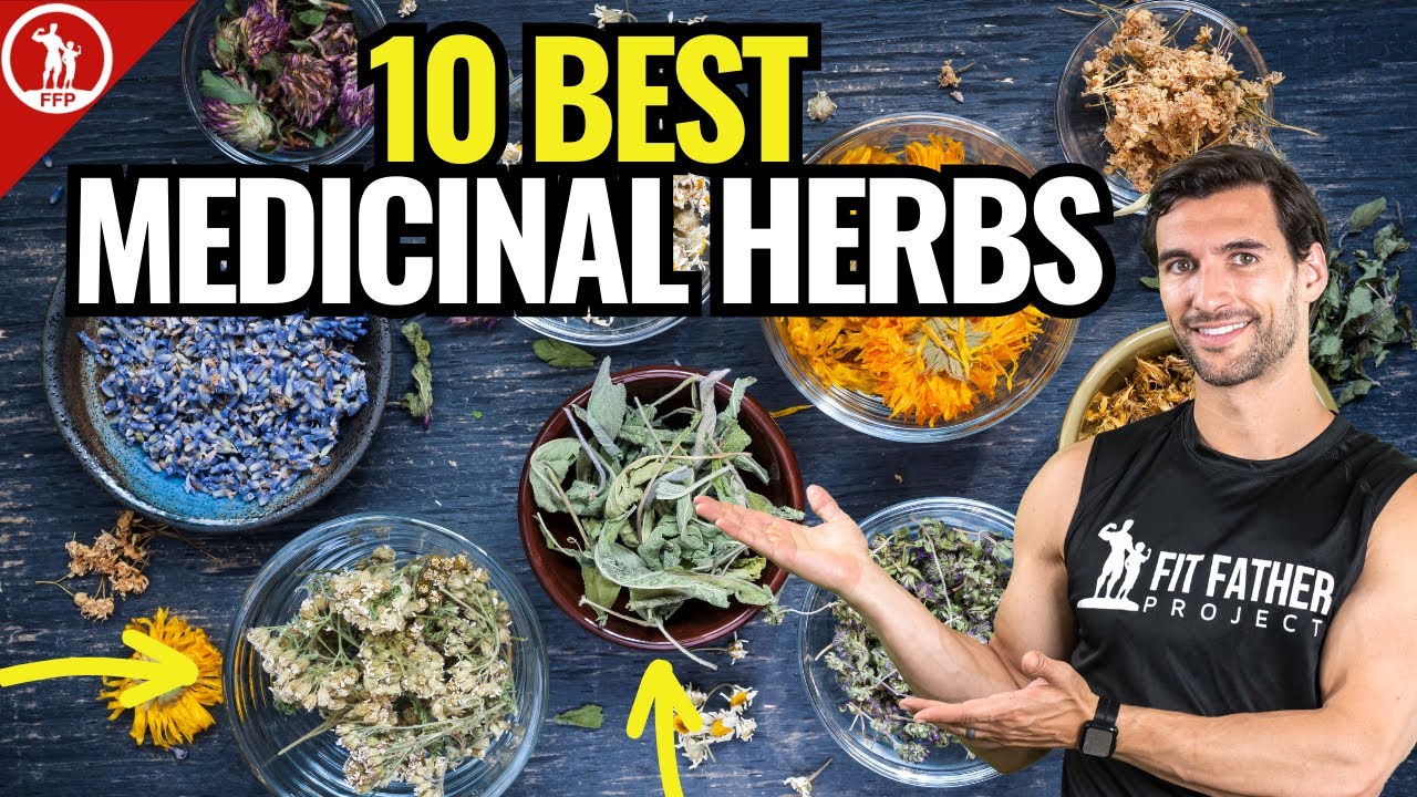 Top 10 Best Medicinal Herbs – For Health & Vitality