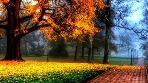 (من جاء بالحسنة فله خير منها ) تلاوة من سورة القصص _ رعد الكردي