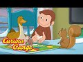 Playing board games with animal friends   curious george  kids cartoon s for kids