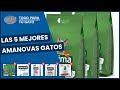 Las 5 mejores amanovas gatos