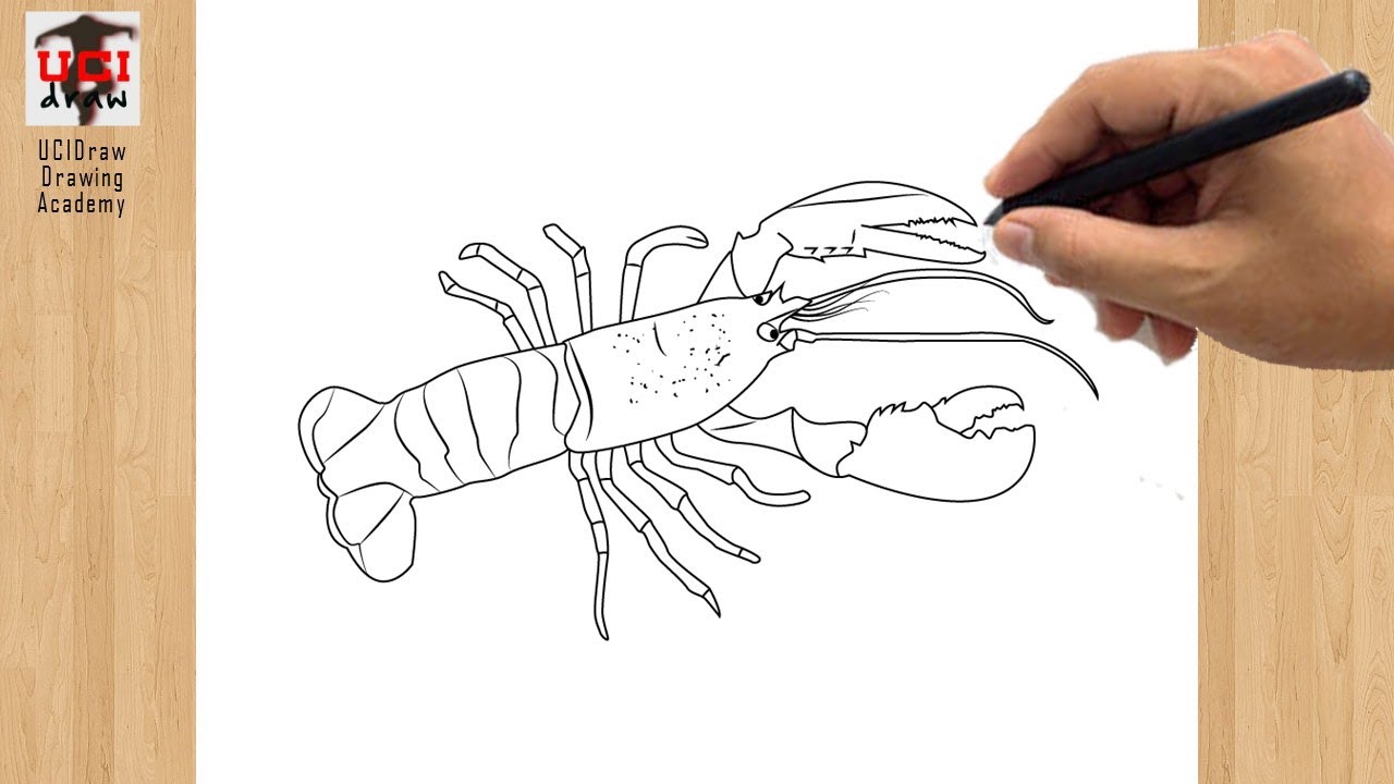 Ink sketch of spiny lobster Royalty Free Vector Image