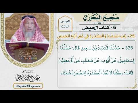 [326] حديث: كنا لا نعد الكدرة والصفرة شيئًا [كتاب الحيض - باب الصفرة والكدرة في غير أيام الحيض]