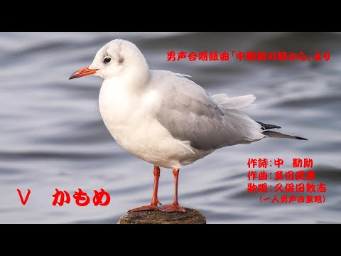 ”かもめ”　男声合唱組曲「中勘助の詩から」より　（作曲：多田武彦　／　作詩：中勘助）