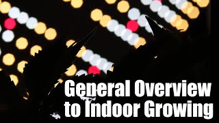 A General Overview to Growing Cannabis Indoors