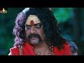 Charulatha Movie Ravi Shankar Fight with Ghost  Latest Telugu Scenes  Sri Balaji Video