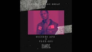 Niceboi Apd - Dnk Official Audio