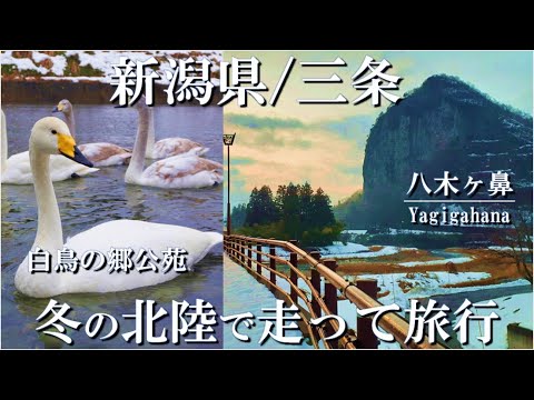 【冬の北陸一人旅】ひとりスノボ旅行ついでに、雪の積もる新潟は三条市でランニングで白鳥に会いにいく一日