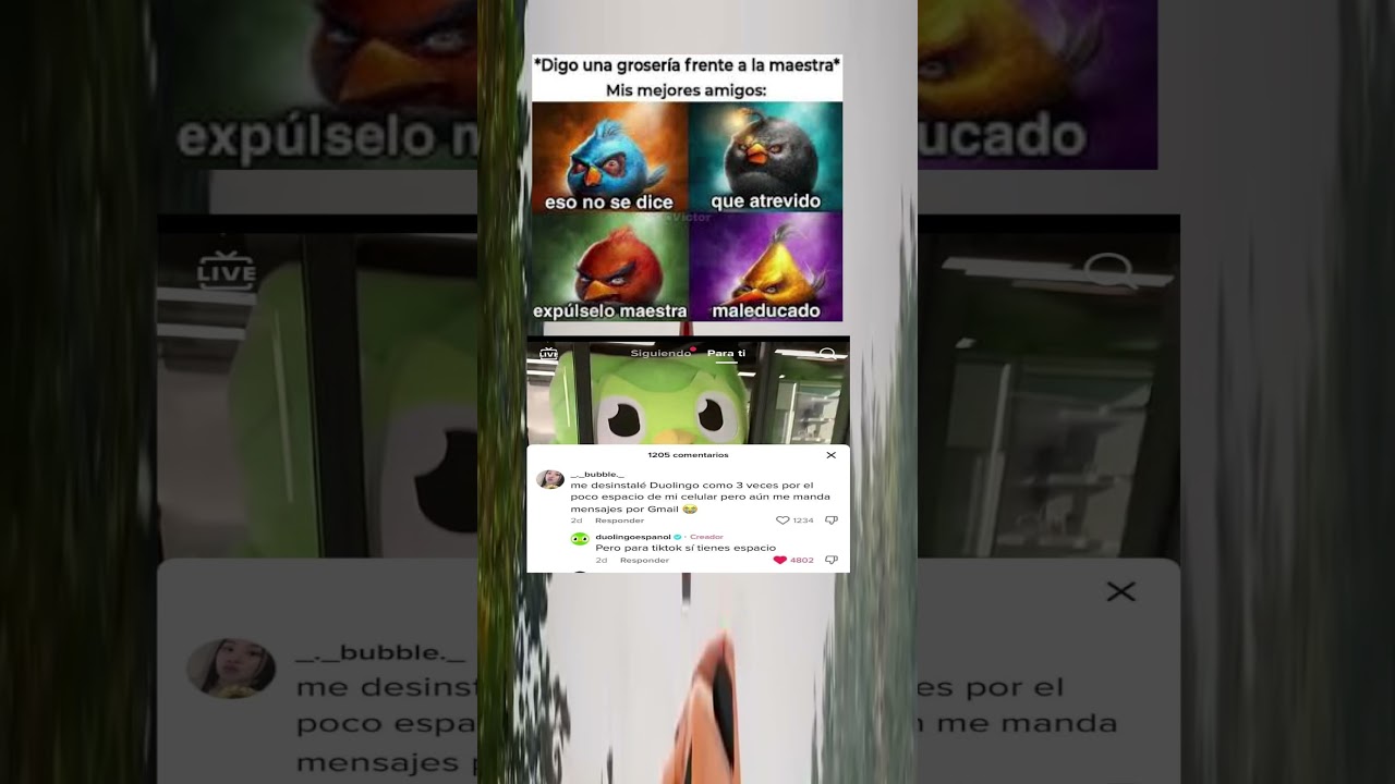 Memes random sin filtro 💀