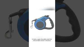 Retractable Leash