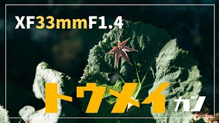 XF33mmF1.4の透明感がとにかく凄いと話すPOV by Photo and Cinema Bear 3,286 views 5 months ago 21 minutes