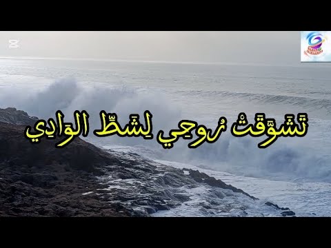 تشوقت روحي لشط الوادي مع الكلمات ـ الطريقة القادرية البودشيشية 