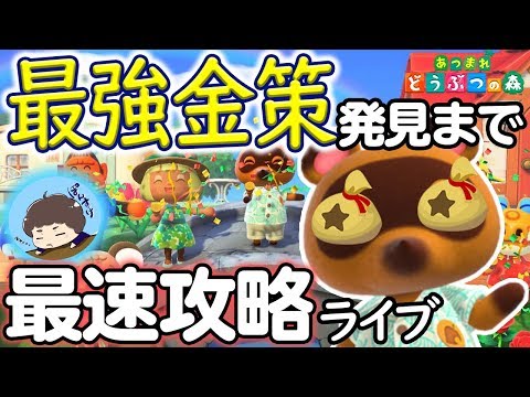【あつ森】最速攻略！新しい魚や虫を探しながら最強効率の金策探します!!【あつまれ どうぶつの森】【ぽんすけ】