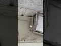 Spider bro caught an icicle